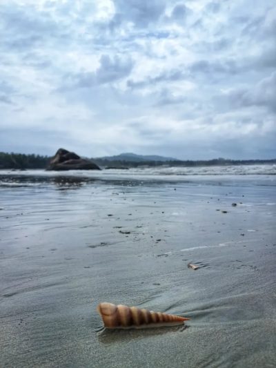 Palolem Beach в июле — фото погоды (2026-07-03)