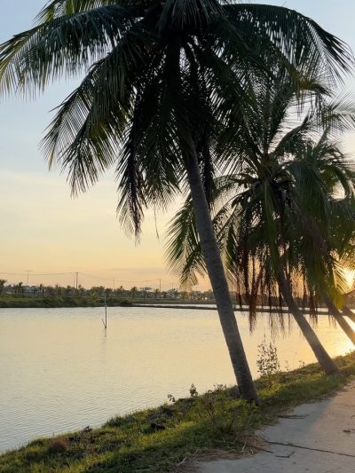 Hoian,vietnam в июле — фото погоды (2026-07-12)