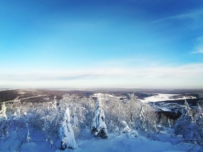 Гора Крестовая в январе — фото погоды (2026-01-23)