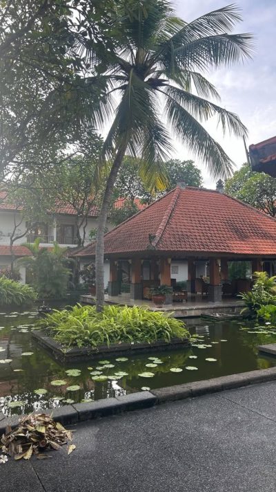 Ubud, Bali Island в январе — фото погоды (2026-01-23)