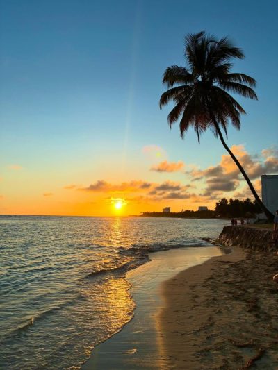 Juan Dolio Beach, Dominican Republic в марте — фото погоды (2026-03-04)