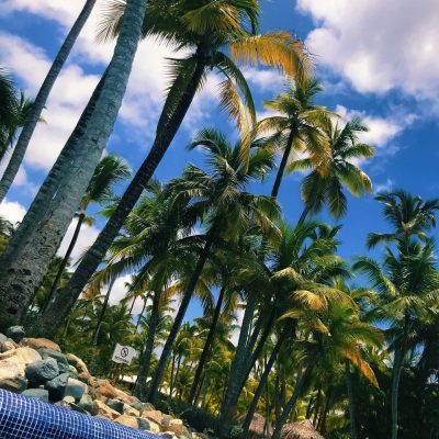 The Reserve at Paradisus Punta Cana Resort в июле — фото погоды (2019-07-26)