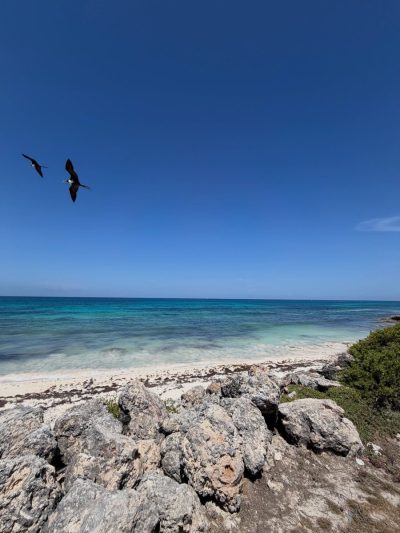 Playa Delfines, Cancún, Quitana Roo, México в июле — фото погоды (2026-07-12)