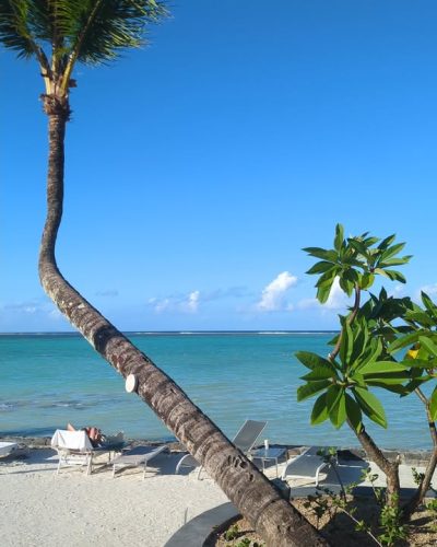 Ambre Mauritius в январе — фото погоды (2026-01-24)