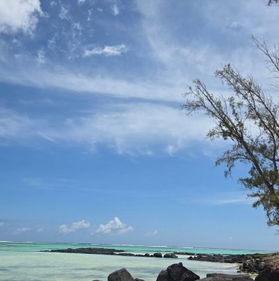 Ambre Mauritius в январе — фото погоды (2026-01-31)