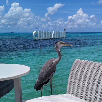 LUX* Maledives Resort & Spa — фото погоды в сентябре (2024-09-16)