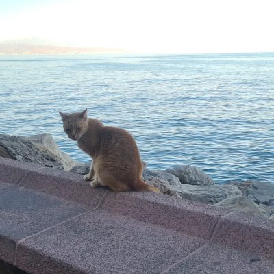 Коста-дель-Соль в августе — фото погоды (2025-08-30)