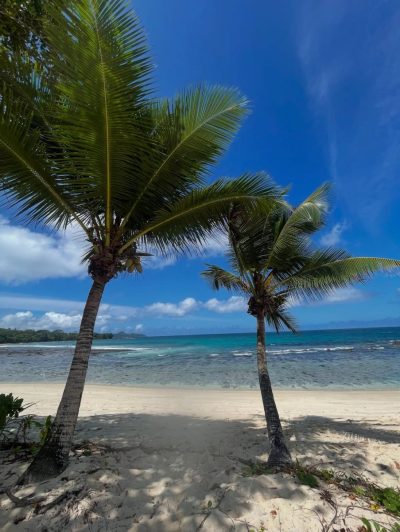 AVANI Seychelles Barbarons Resort&SPA — фото погоды в августе (2025-08-24)