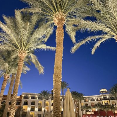 The 5* Grand Resort, Hurghada, Red Sea, Egypt — фото погоды в феврале (2026-02-25)