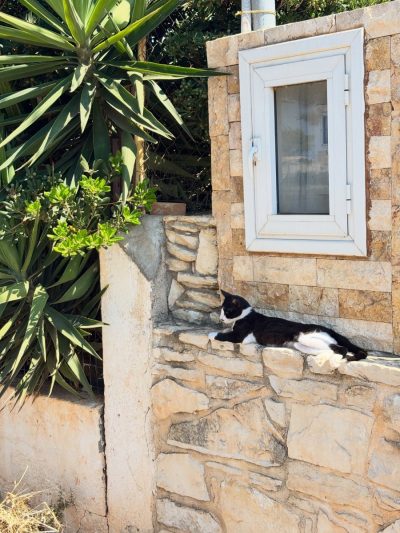 Hersonissos - Χερσόνησος, Crete, Greece в июле — фото погоды (2026-07-12)