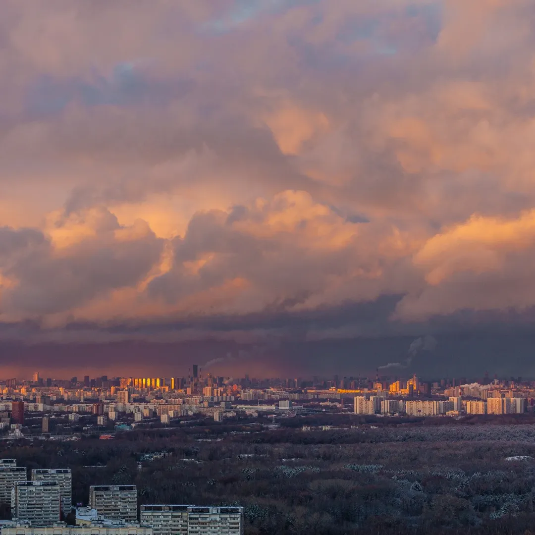 Погода в Царицыно