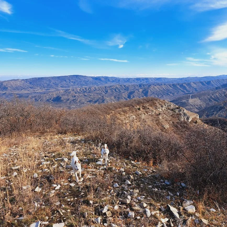 Погода в Сулакский каньон