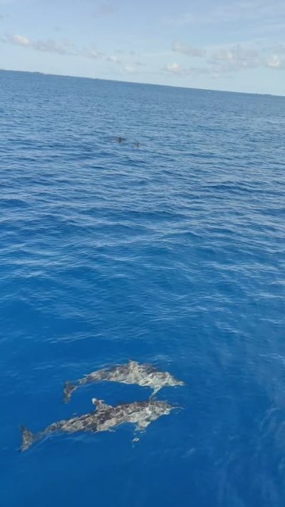 Maldives Islands в июне — фото погоды (2025-06-19)