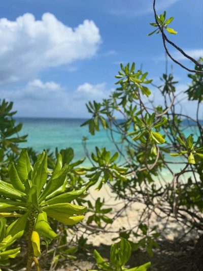 Maldives Islands в октябре — фото погоды (2025-10-18)