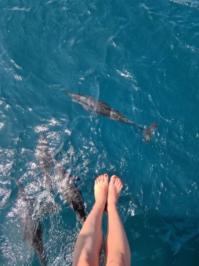 Maldives Islands в ноябре — фото погоды (2025-11-09)