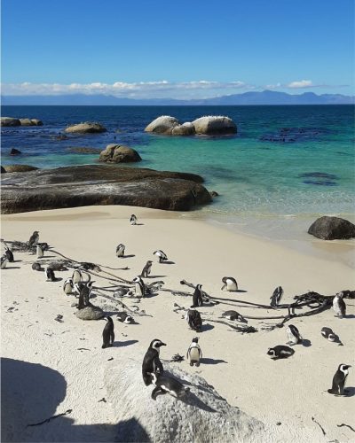 University of Cape Town в июле — фото погоды (2026-07-08)