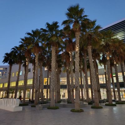 NYU Abu Dhabi в ноябре — фото погоды (2025-11-12)