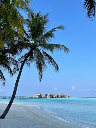 Gili Lankanfushi, Maldives в мае — фото погоды (2026-05-24)