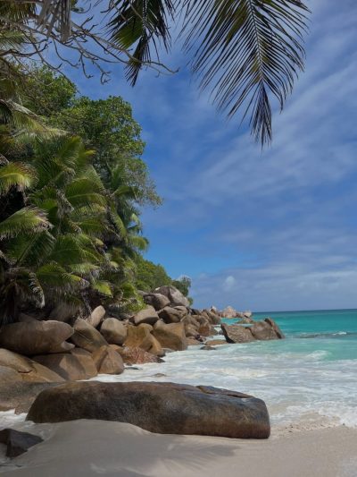 Anse Georgette, Praslin, Seychelles в январе — фото погоды (2026-01-31)