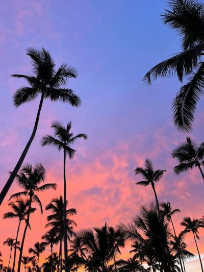 Playa Bonita, Las Terrenas Dom. Rep. в январе — фото погоды (2026-01-03)