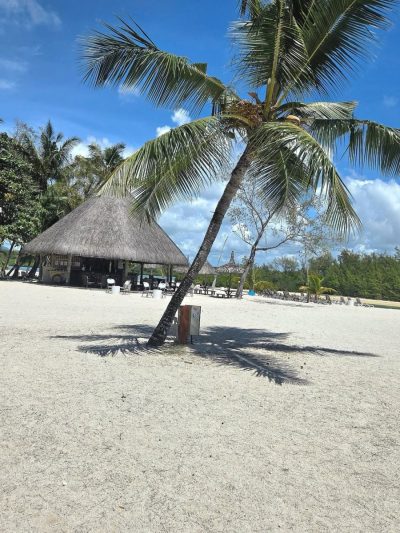 Bubble Lodge, Îles Aux Cerfs в феврале — фото погоды (2026-02-01)