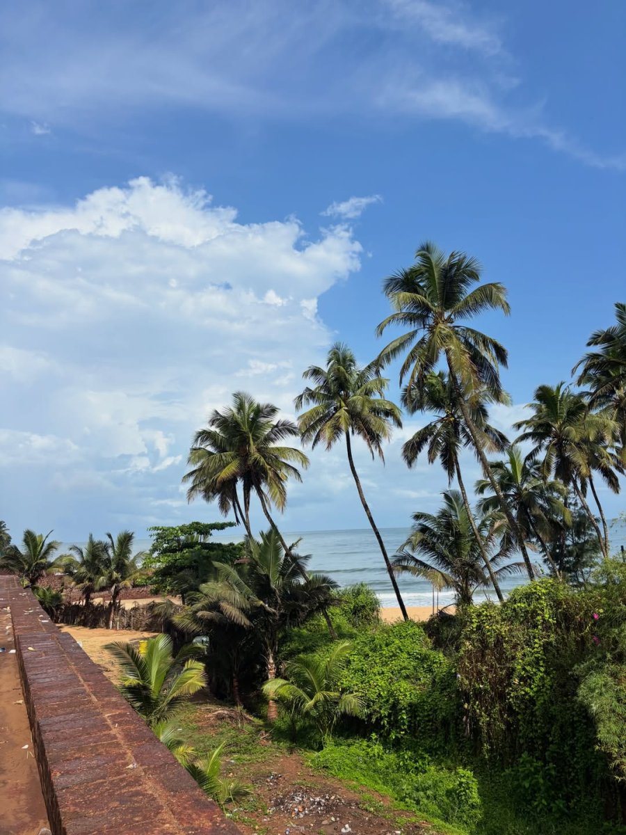 Погода в Taj Hotel Fort Agauda