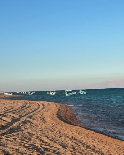 Lagona в январе — фото погоды (2026-01-23)
