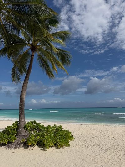 Isla Catalina, República Dominicana в мае — фото погоды (2026-05-26)