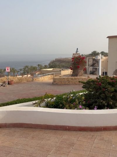 Dreams Beach Sharm El Sheikh в январе — фото погоды (2026-01-31)