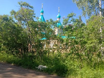 Гефсиманский скит в июле — фото погоды (2022-07-26)