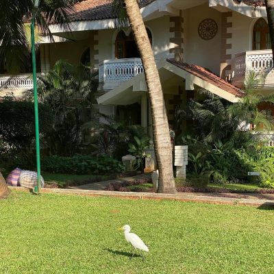 Unwindings, Club Mahindra, Varca Beach, Goa в январе — фото погоды (2020-01-24)