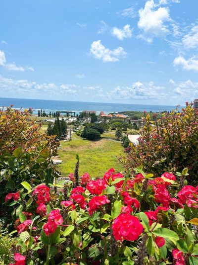 ホテルブリーズベイマリーナ HOTEL BREEZE BAY MARINA（Okinawa Japan） — фото погоды в марте (2026-03-23)