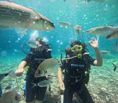 Marmaris Akvaryum Koyu в июле — фото погоды (2025-07-13)
