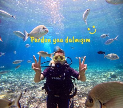 Marmaris Akvaryum Koyu в августе — фото погоды (2025-08-17)