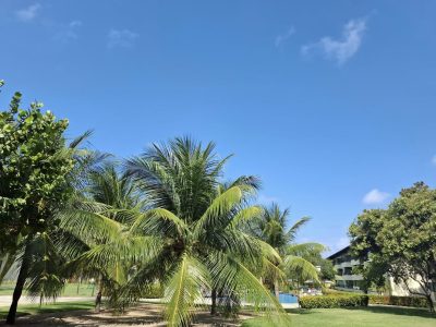 Carneiros Beach Resort — фото погоды в октябре (2025-10-15)