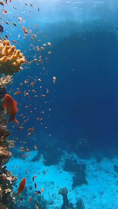 Marsa Alam Red Sea в августе — фото погоды (2025-08-31)