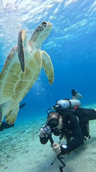 Marsa Alam Red Sea в сентябре — фото погоды (2025-09-16)