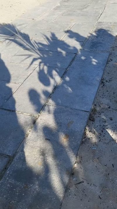 Meliá Las Dunas в июне — фото погоды (2025-06-14)