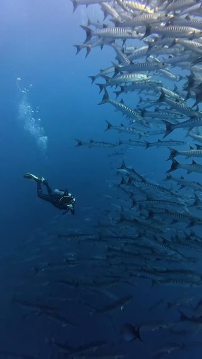 Koh Tachai - Mu Koh Similan National Park в марте — фото погоды (2026-03-25)