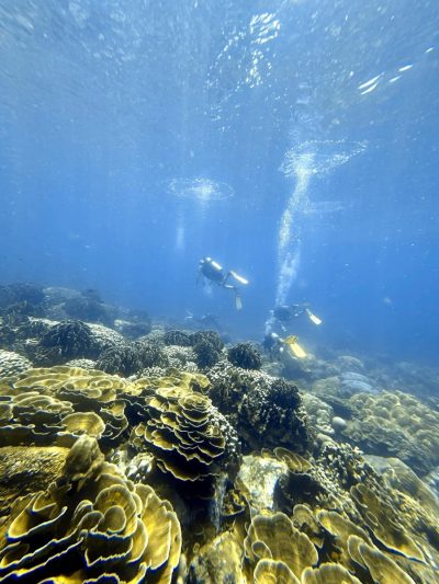 Koh Tachai - Mu Koh Similan National Park в апреле — фото погоды (2026-04-24)