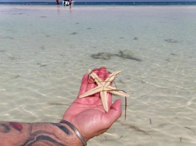 Bohol Island Philippines в июне — фото погоды (2026-06-14)