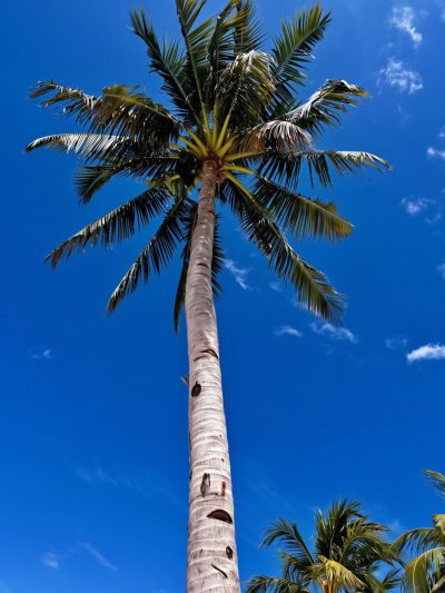 Bohol Island Philippines в июле — фото погоды (2026-07-12)