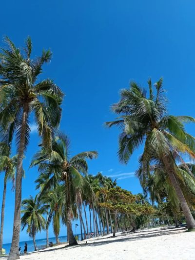 大东海会议厅@Intercontinental Sanya Resort — фото погоды в июле (2026-07-09)