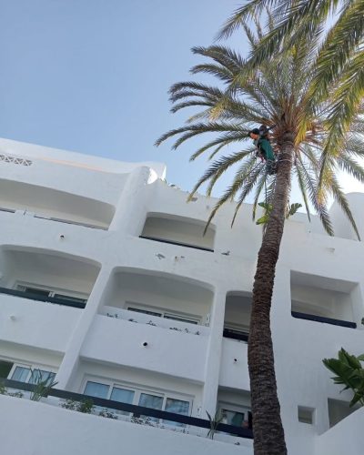 Hotel Jardin Tropical Tenerife — фото погоды в феврале (2025-02-26)