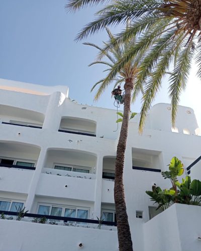 Hotel Jardin Tropical Tenerife — фото погоды в феврале (2025-02-26)