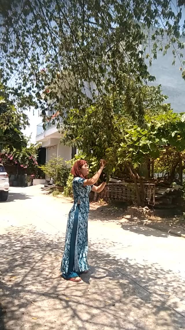Погода в Tam Ky