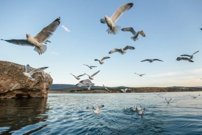 Остров Ольхон  Байкал в мае — фото погоды (2025-05-23)