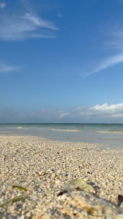 Tanzania, Zanzibar в январе — фото погоды (2026-01-08)