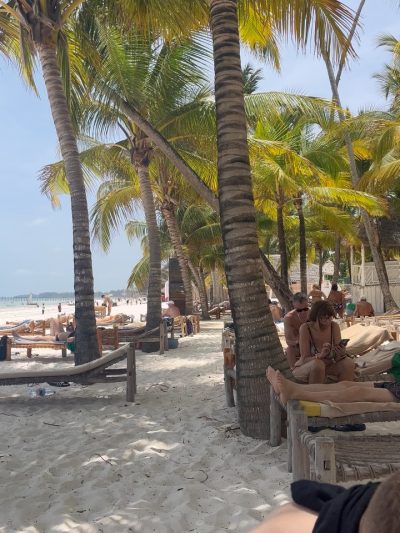 Tanzania, Zanzibar в феврале — фото погоды (2026-02-22)