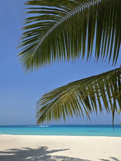 Dhigurah, Ari Atoll в феврале — фото погоды (2026-02-27)